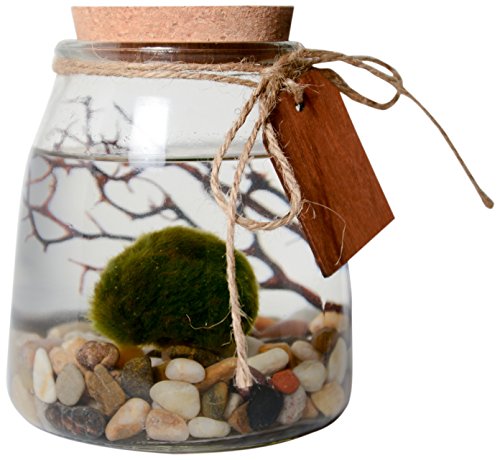 Sorry, we just need to make sure youre not a robot. For best results, please make sure your browser is accepting cookies.