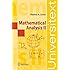 Mathematical Analysis II (Universitext)