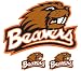 NCAA Oregon State Beavers Wall Accent 3 Large Murals Stickers
