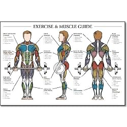 Algra Men's Exercise & Muscle Guide