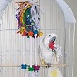 Bird Toy - Wild Series - Berserk Challenge Toy - Great Toy for Medium to Large Birds