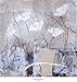 Subtlety I - Carmen Gimenez Art Print Poster 18 x 19