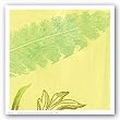 Feather Leaf by Swan Papel 12"x12" Art Print Poster