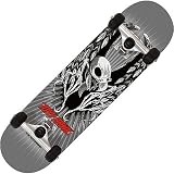 Sporting Goods : Birdhouse Silver Series Tony Hawk Wings Complete Skateboard