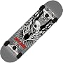 Birdhouse Silver Series Tony Hawk Wings Complete Skateboard