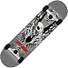 Birdhouse Silver Series Tony Hawk Wings Complete Skateboard