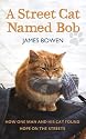 A Street Cat Named Bob