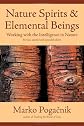 Nature Spirits & Elemental Beings: Working with the Intelligence in Nature