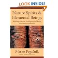 Nature Spirits and Elemental Beings: Working with the Intelligence in Nature: Revised, Updated and Expanded Edition