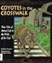 Coyotes in the Crosswalk: True Tales of Animal Life in the Wilds... of the City!