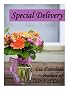 Special Delivery (A short story)