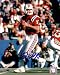 Steve Grogan autographed Patriots 8x10 photo