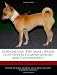 Chihuahuas: The Small Breed that Offers Companionship and Controversy