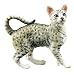 EGYPTIAN MAU, SS-6337