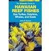 The Ultimate Guide to Hawaiian Reef Fishes: Sea Turtles, Dolphins, Whales, and Seals