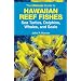 The Ultimate Guide to Hawaiian Reef Fishes: Sea Turtles, Dolphins, Whales, and Seals