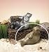 Walrus Figurine - Beasties Molly