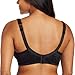 Carnival Women's Seamless