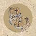 Bushveld Cheetah by Nancy Strailey. Size 7.00 inches width by 7.00 inches height. High Quality Art Poster Print