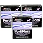 3 Pack FortiFlora CANINE Nutritional Supplement by Purina- Box of 30 (1 gram packets)