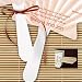 Blank Wood Program Fan Handles (Set of 100)