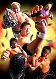 20th Anniversary　　G1 CLIMAX XX　　-3Dスペシャルエディション-(DVD2枚組+Blu-ray Disc)