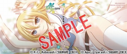 咲-Saki- 阿知賀編 episode of side-A 6巻特典ブックカバー