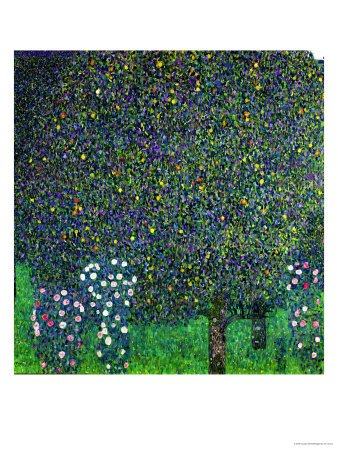Roses Under the Trees, circa 1905 Giclee Poster Print by Gustav Klimt, 36x48