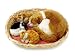 Pet Supplies : Perfect Petzzz Porch Cat & 3 Kittens