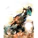 Cowgirl Rodeo Barrel Racing 2 Quality Art Poster Print - 20" X 16"