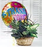 Same Day Flower Delivery Thank You Garden