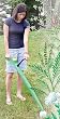 DK Products DKJW-88 Jerry's Weedstick Weed Remover Tool