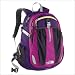 THE NORTH FACE(ノースフェイス) リュック リーコン(ウィメンズ) (NMW07051) パープル×ピンク 容量/30L
