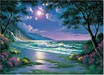 Ravensburger Moonlight Beach 3,000-pc. Puzzle