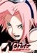 NARUTO-ig- 5th STAGE 2007 m [DVD]
