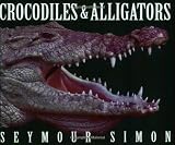 Crocodiles & Alligators