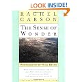 Sense Of Wonder The