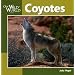 Coyotes (Our Wild World)