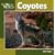 Coyotes (Our Wild World)