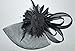 Coolr Women's Fascinators Hat Small Hairpin Feather Mesh Flower Hairclip (Black)