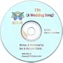 I Do a Wedding Song Dedicated to Same Sex Marriag
