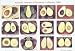 Avocado Varieties of Southern California 2009 Calendar