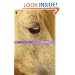 Without My Cloak (Virago Modern Classics)