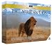 World Class Films: The African Lion