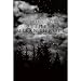 Misanthrope-Nocturno Culto: The Misanthrope