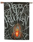 Toland, Spiders Web Garden Flag, 12.5 x 18, #117253