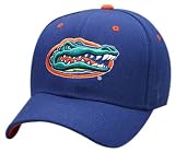 Florida Gators ''GATOR'' Dark Royal Blue DHS Hat