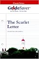 GradeSaver (TM) ClassicNotes The Scarlet Letter: Study Guide