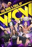 The Rise & Fall of WCW