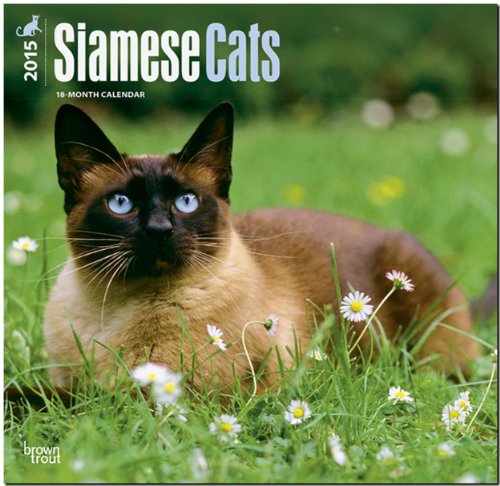 Siamese Cats 2015 Square 12x12 (Multilingual Edition)